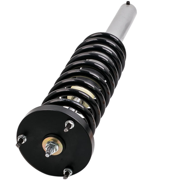 Front Coilovers Kit Compatible for Mercedes-Benz S Class S430 2000-2006