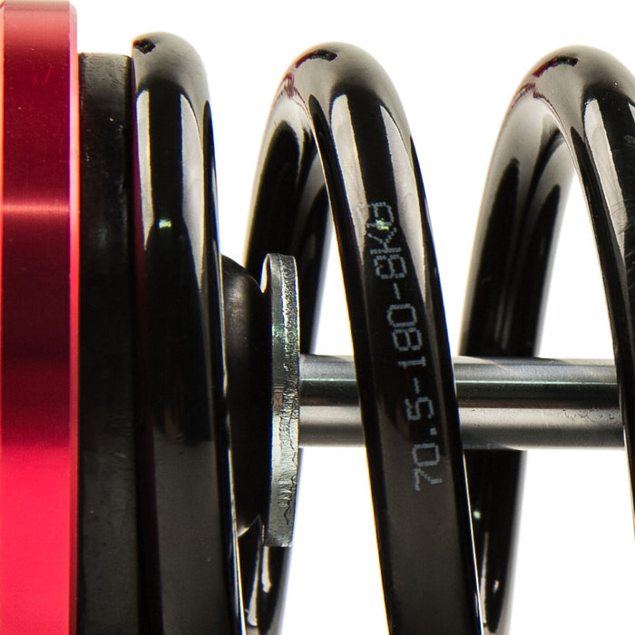 Coilovers Lower Strut Compatible Compatible for Honda Civic 96-00
